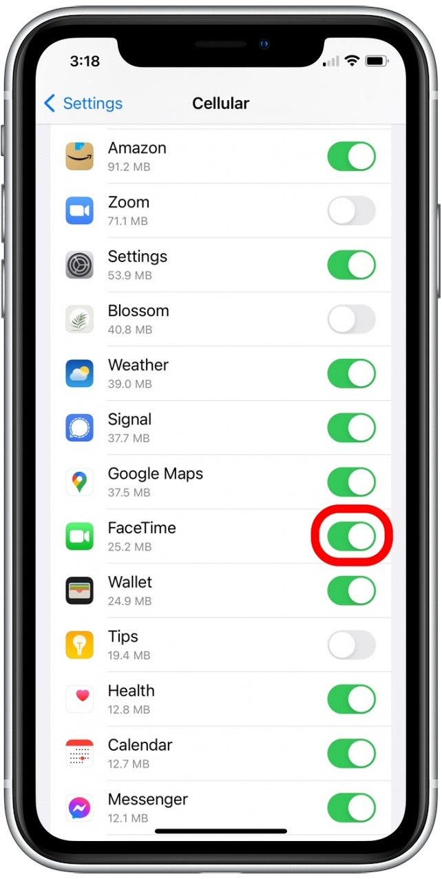 How to FaceTime without WiFi on iPhone