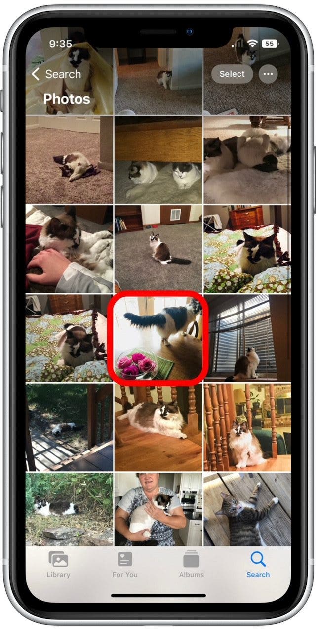 How to Copy & Paste Photo Edits on iPhone & iPad