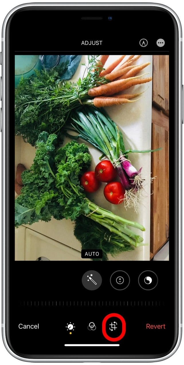 How to Rotate Photos on iPhone