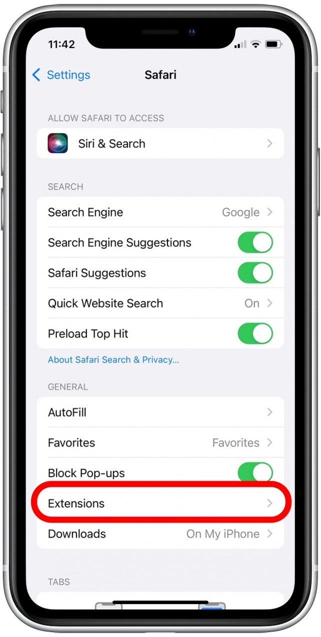 How to Use Safari Extensions on iPhone & iPad