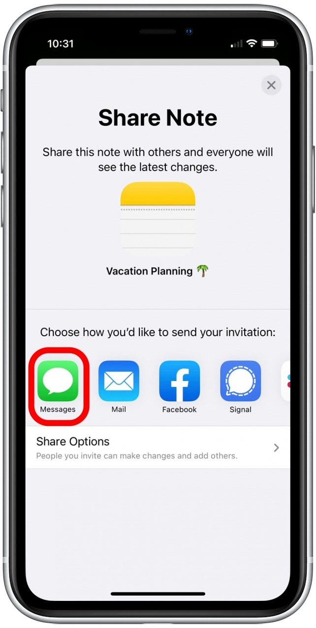 How to Share a Note on iPhone to Get Things Done Together (2023)
