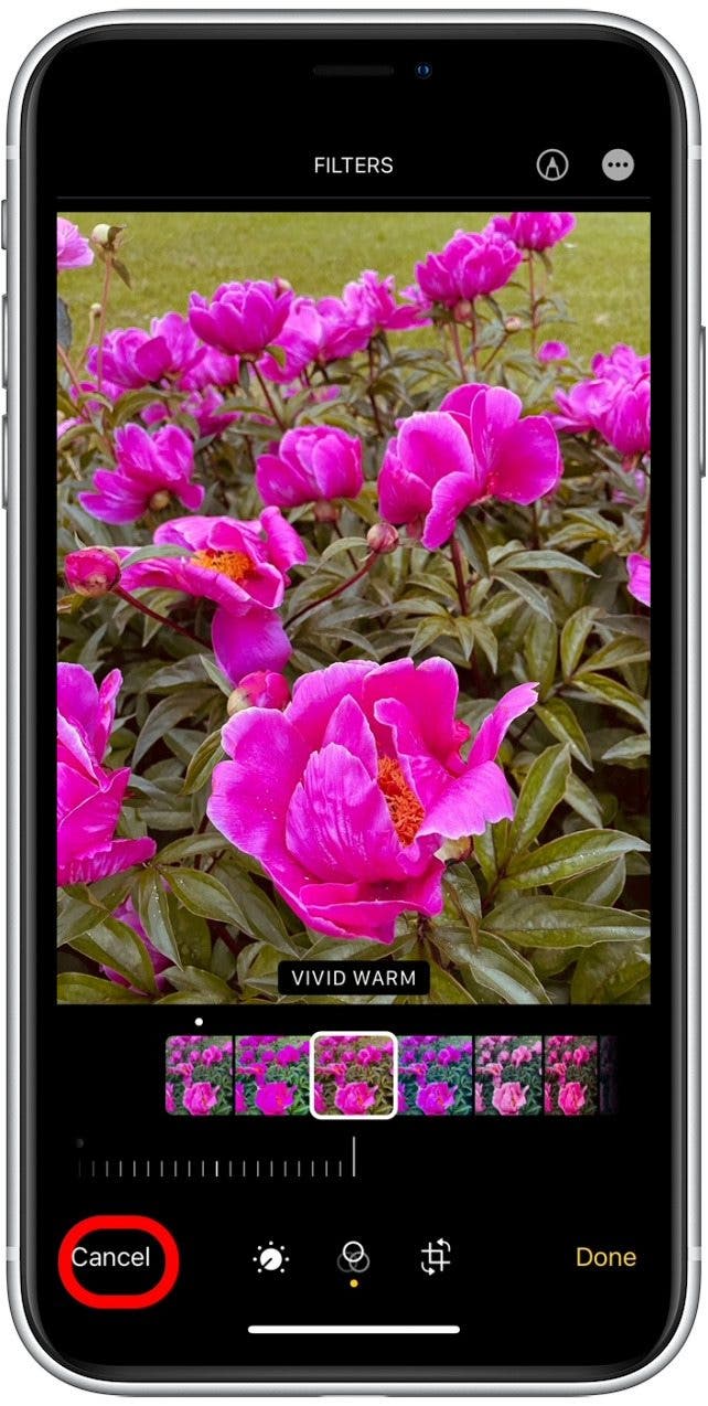Edit Pictures on iPhone How to Compare Edited Photos to Originals