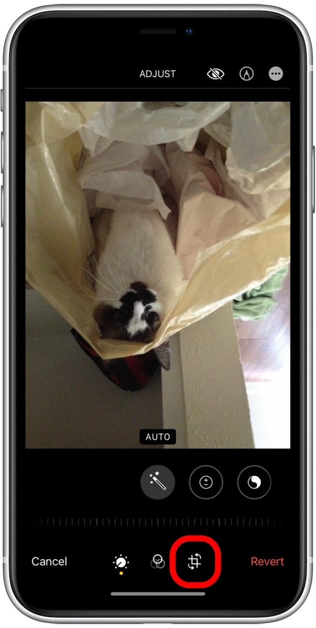How to Fix UpsideDown Photos on iPhone