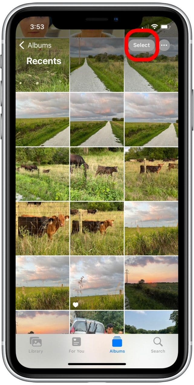 How to transfer all my photos from iphone to iphone