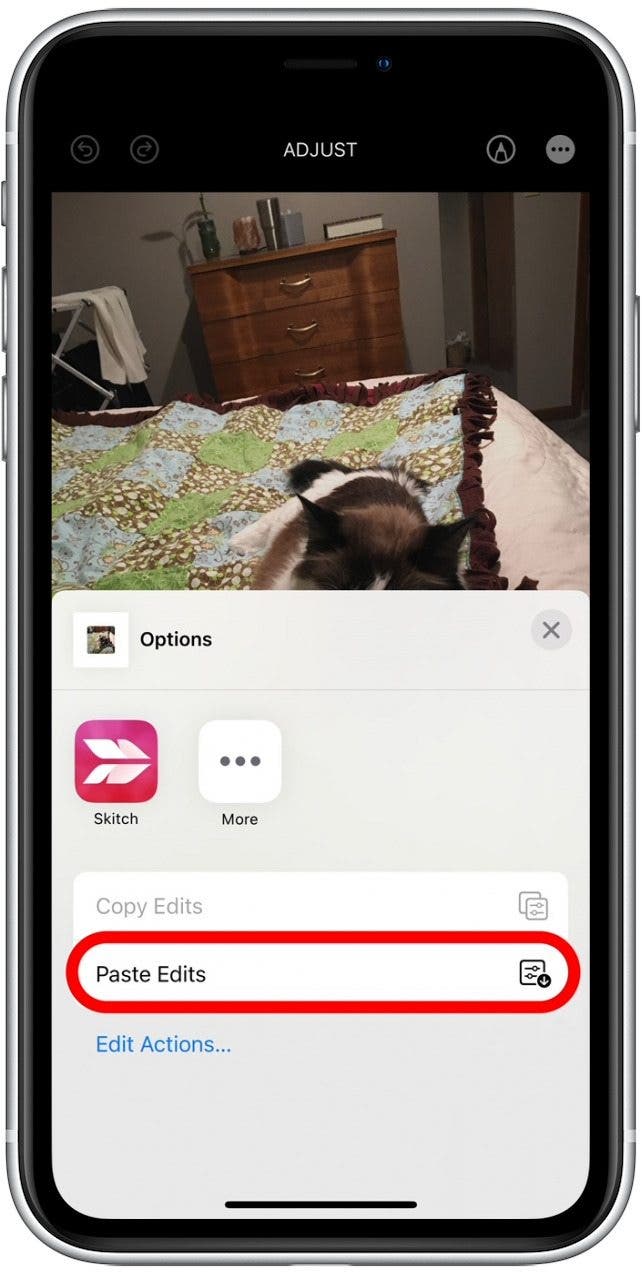 How Do I Copy And Paste Photos On Iphone