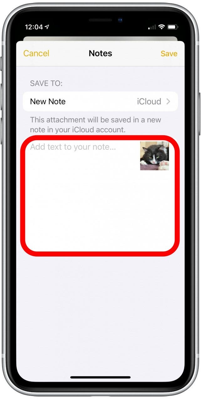 secret photos iphone: the share photo to Notes menu with the text field highlighted