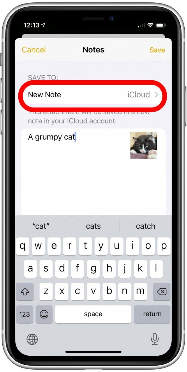 private photos iphone: the share photo to notes menu with the Save To field highlighted