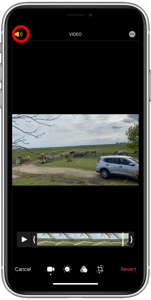 How to Remove Audio from Videos on iPhone