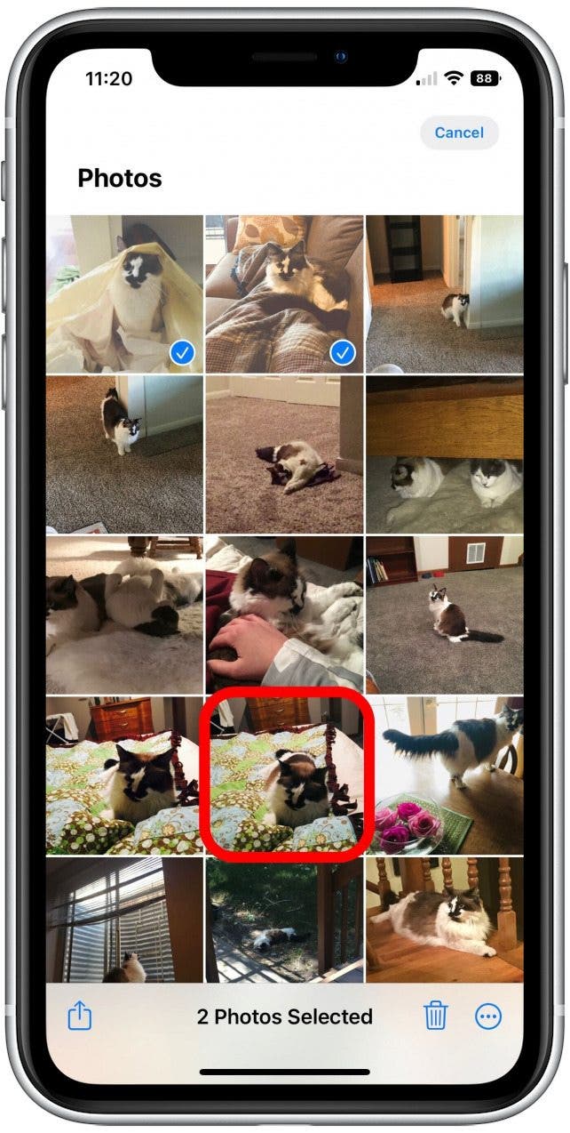 How to Copy & Paste Photo Edits on iPhone & iPad