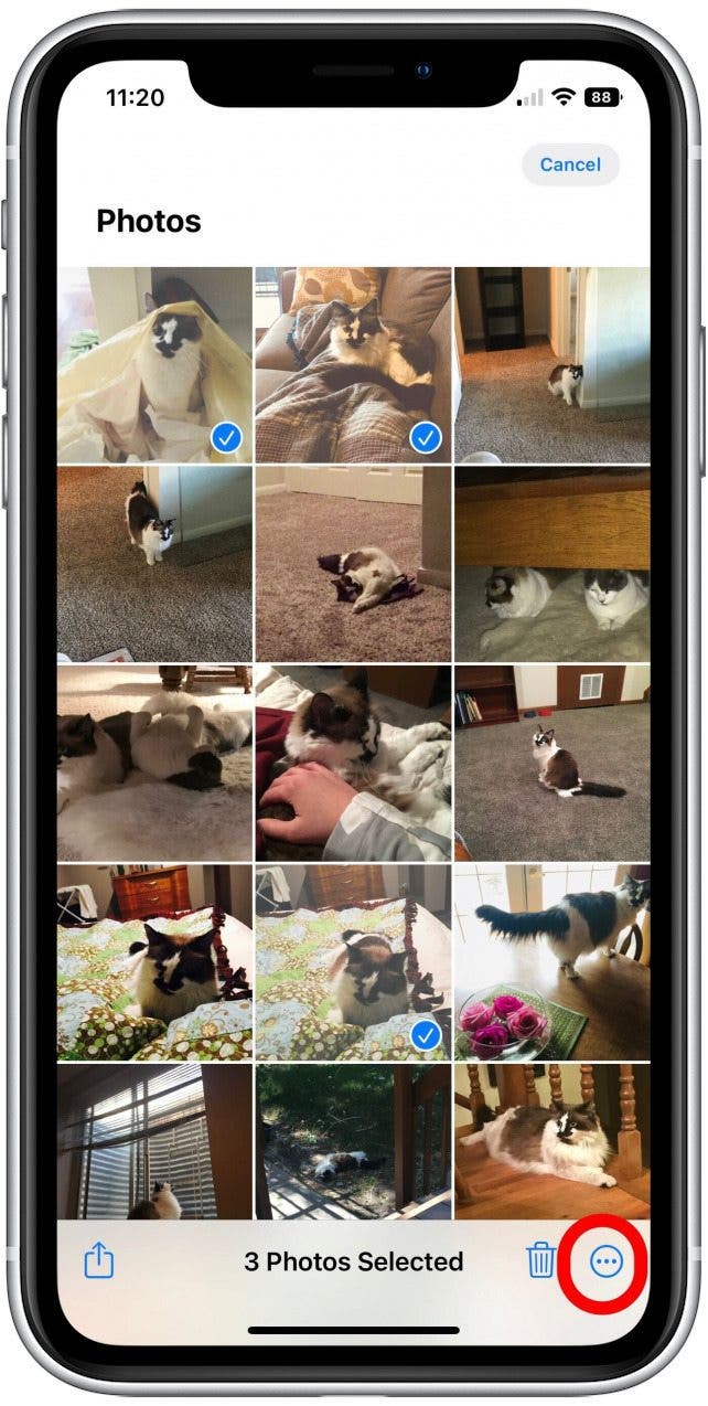 how-to-copy-paste-photo-edits-on-iphone-ipad-www-iphonelife