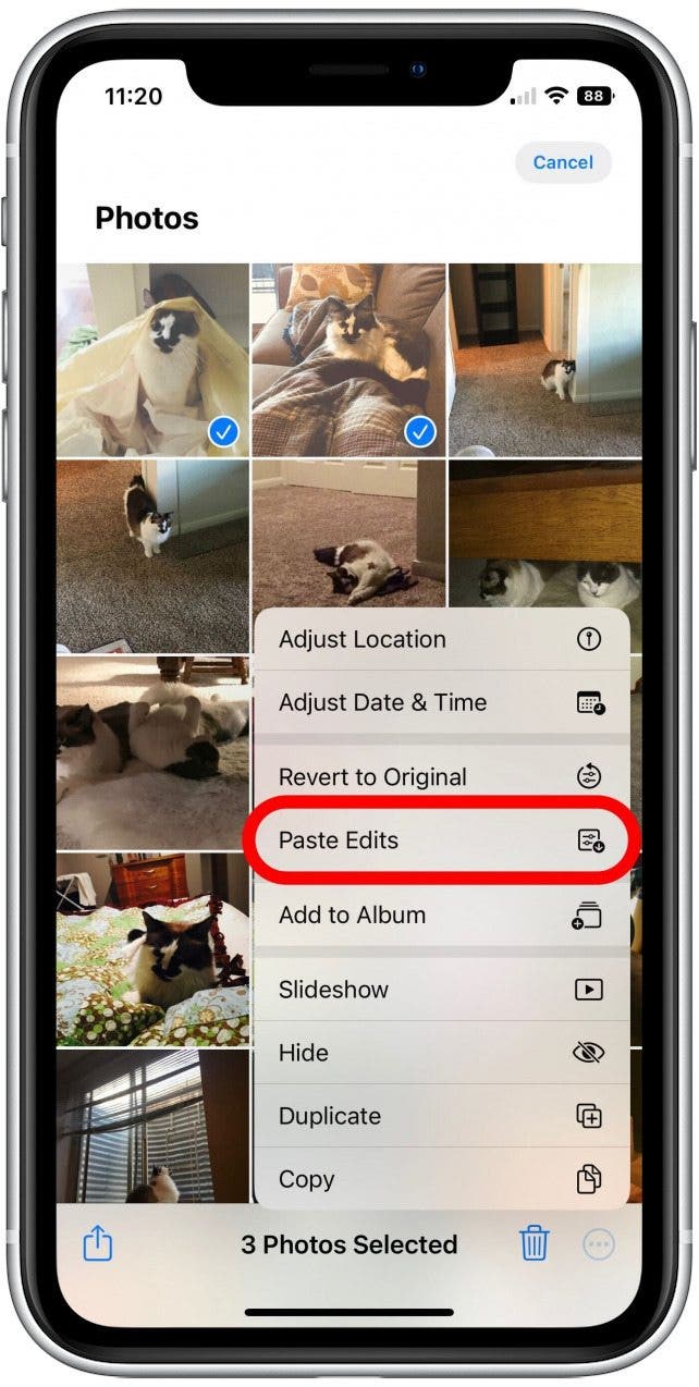 How to Copy & Paste Photo Edits on iPhone & iPad