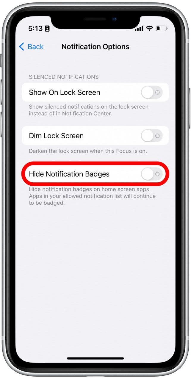 Tap the toggle next to Hide Notification Badges to make it so there are no notification badges on apps on your Home Screen.