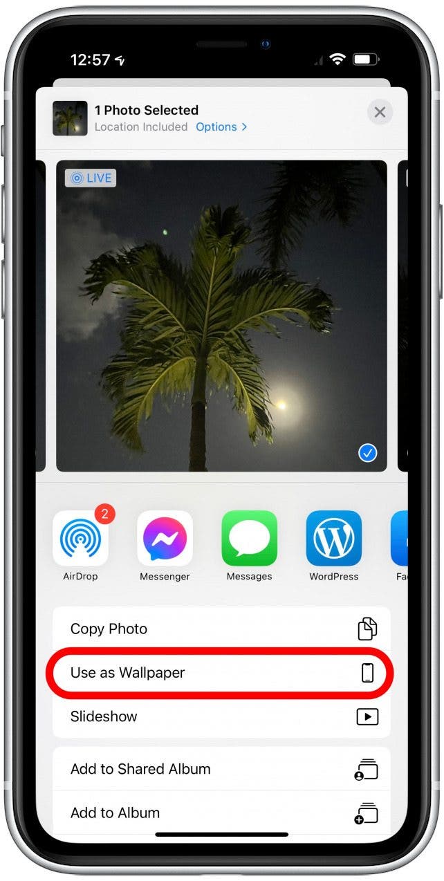 How to Change Background on iPhone & iPad (2023) How to Change Background on iPhone & iPad (2023)