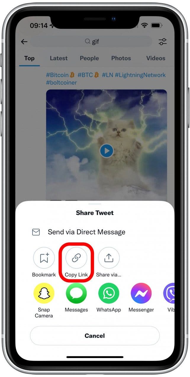 How to Save GIFs on iPhone in 2022 iPhone GIF Download 101
