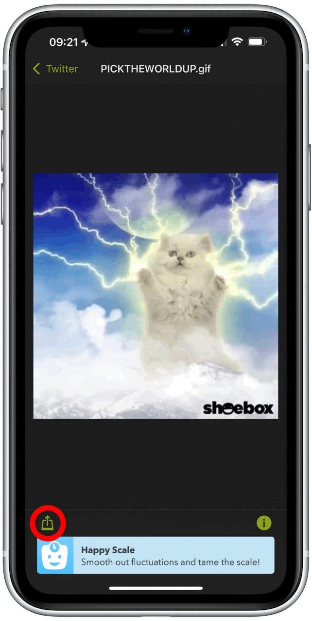 How to Save GIFs on iPhone in 2022 iPhone GIF Download 101