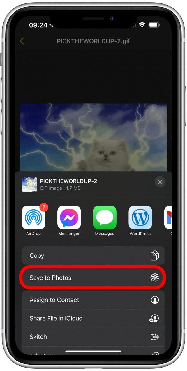 How to Save GIFs on iPhone in 2022 iPhone GIF Download 101