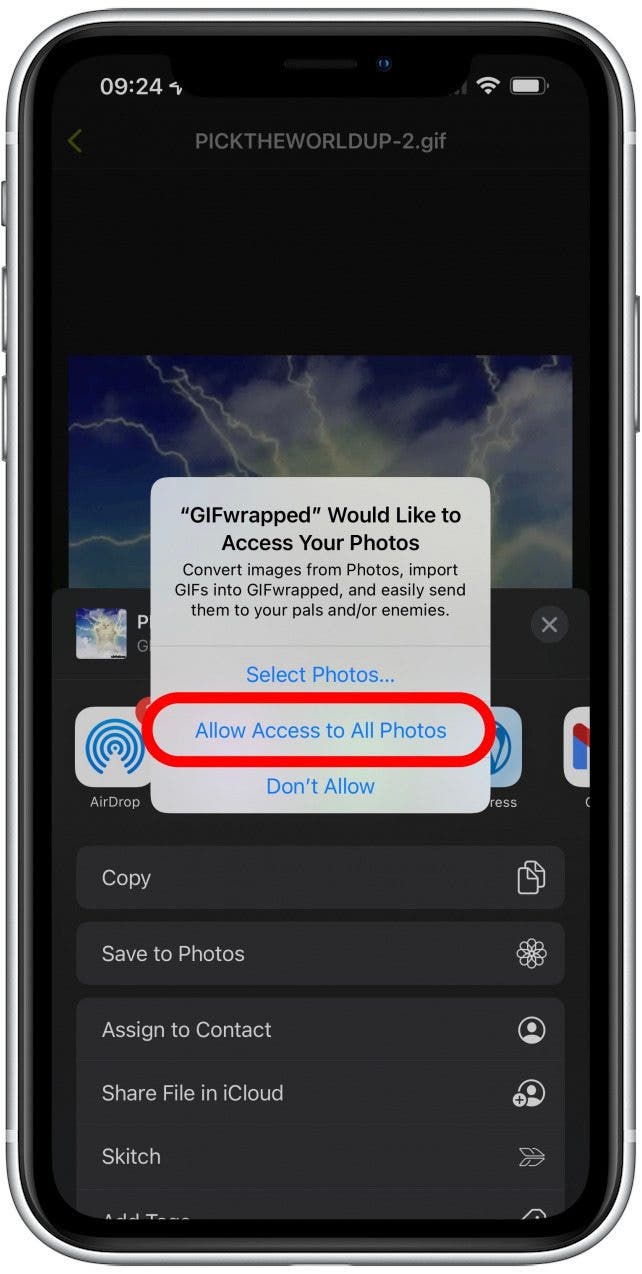 How to Save GIFs on iPhone in 2022 iPhone GIF Download 101