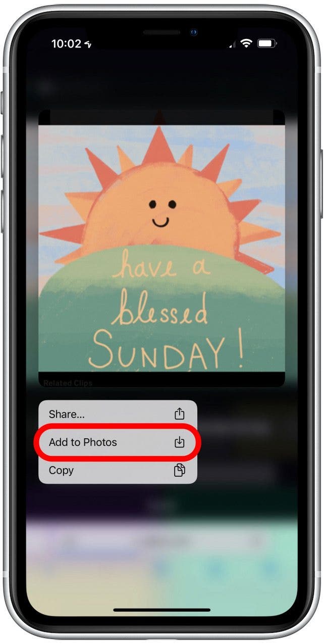 GIPHY - how to download from gify