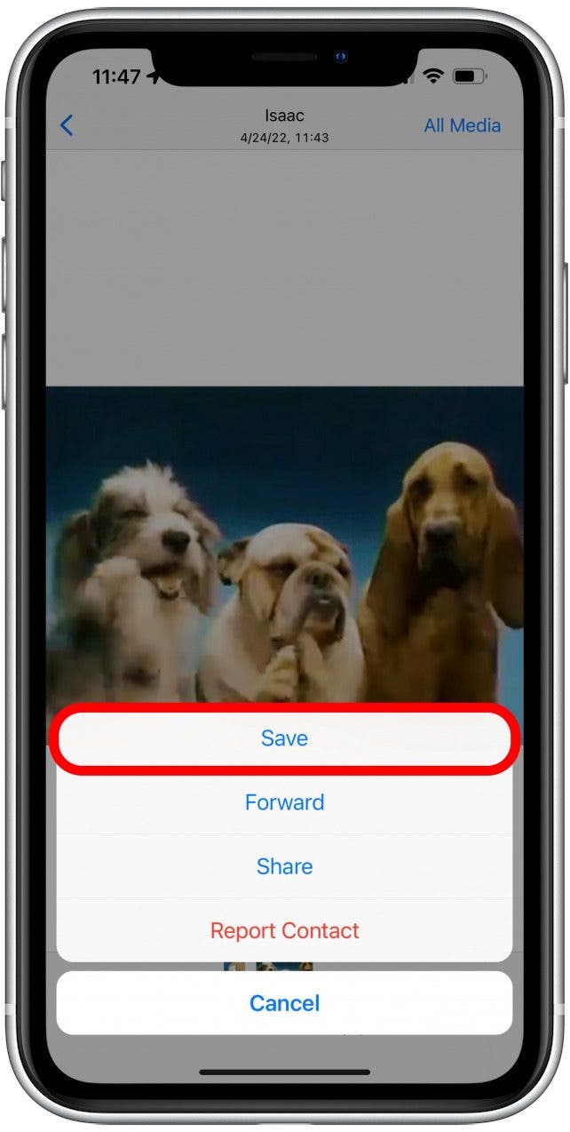 WhatsApp - iphone saving gifs