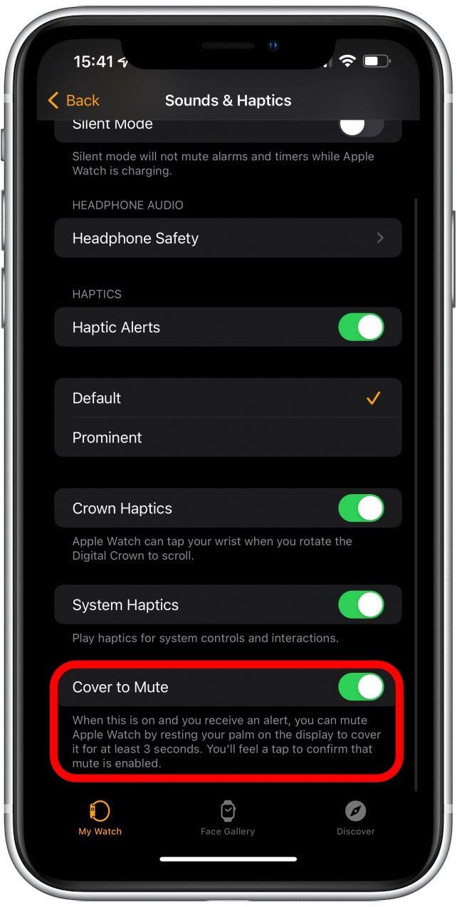 Fixed: Make Apple Watch Vibrate for Texts & Calls