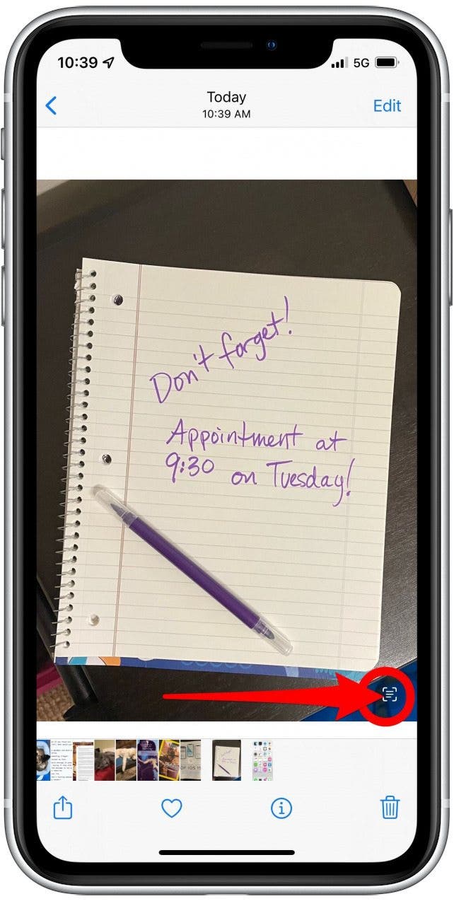 live text iphone x