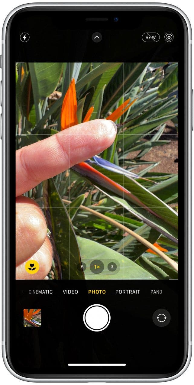 iPhone 13 Macro Photography Guide & Macro Settings (2023)