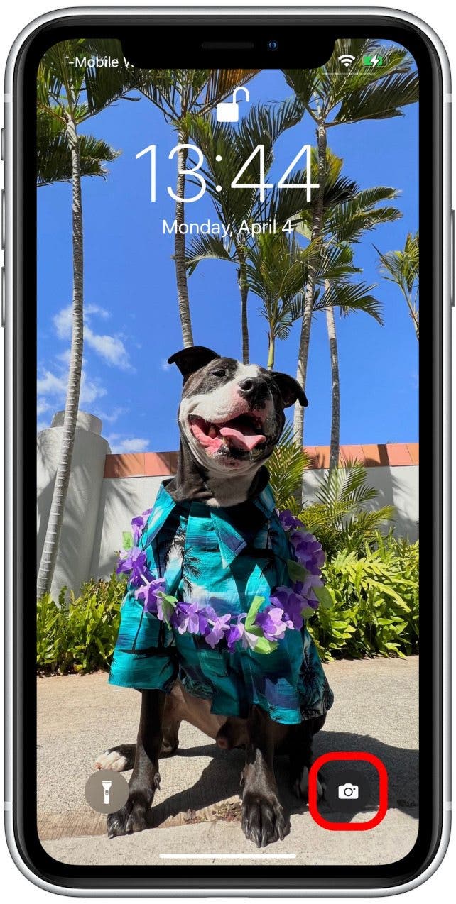 iphone shortcut camera
