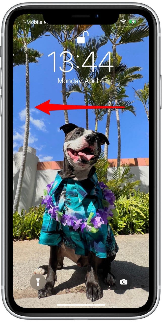 camera icon for iphone