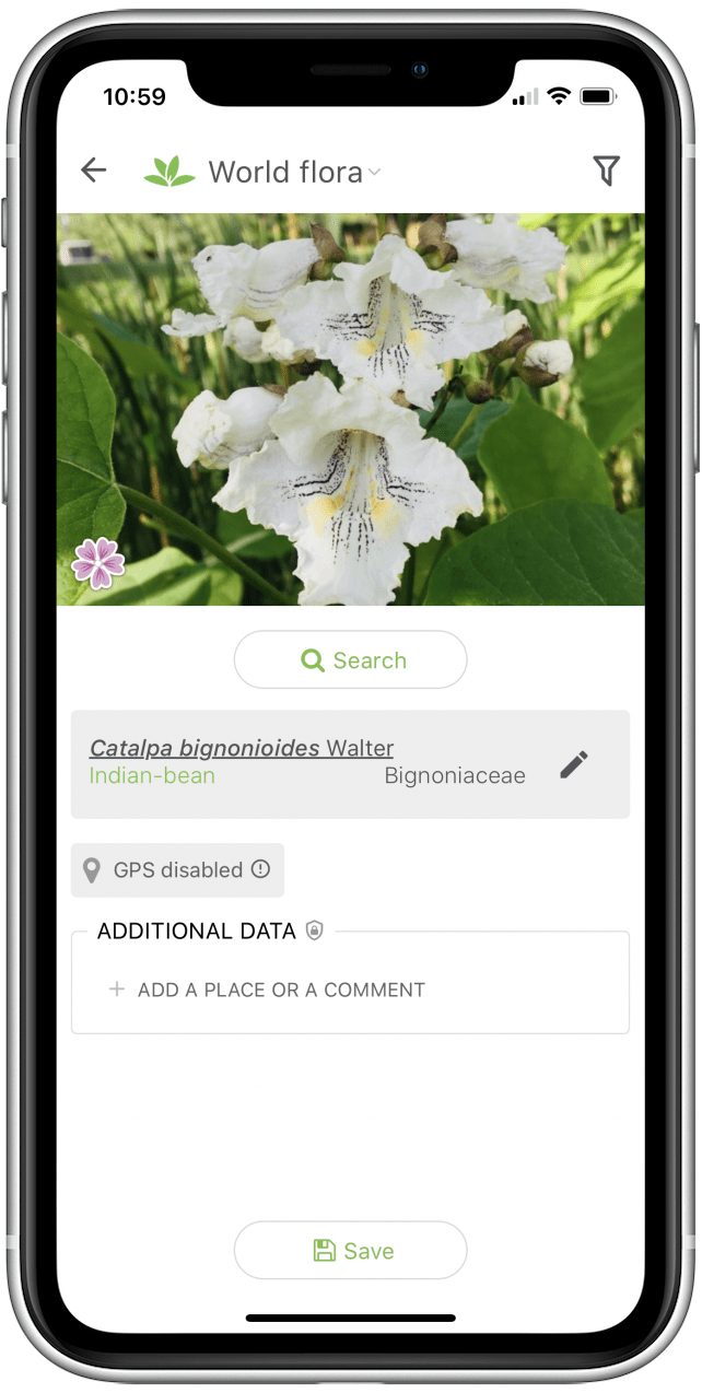 7 Best Plant Identification Apps For