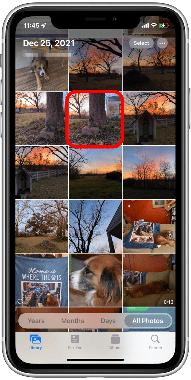 How to Post a Live Photo on Facebook from iPhone (2023)
