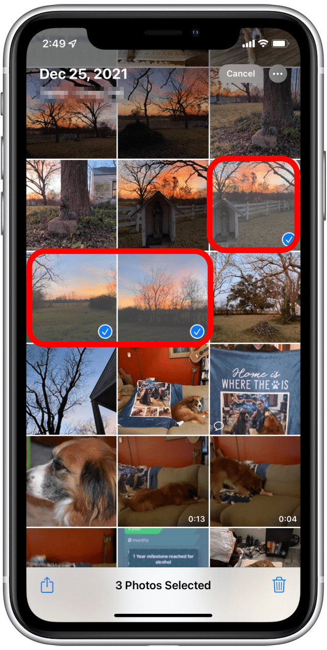 Multiple photos