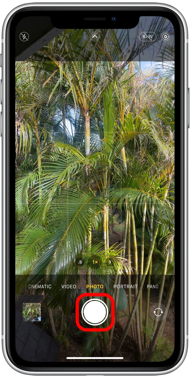 Shutter button iphone