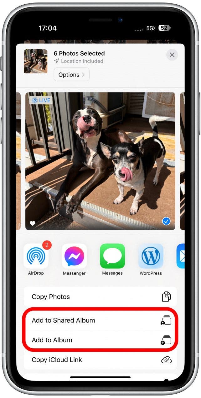How to Create an Photo Album on Your iPhone & iPad
