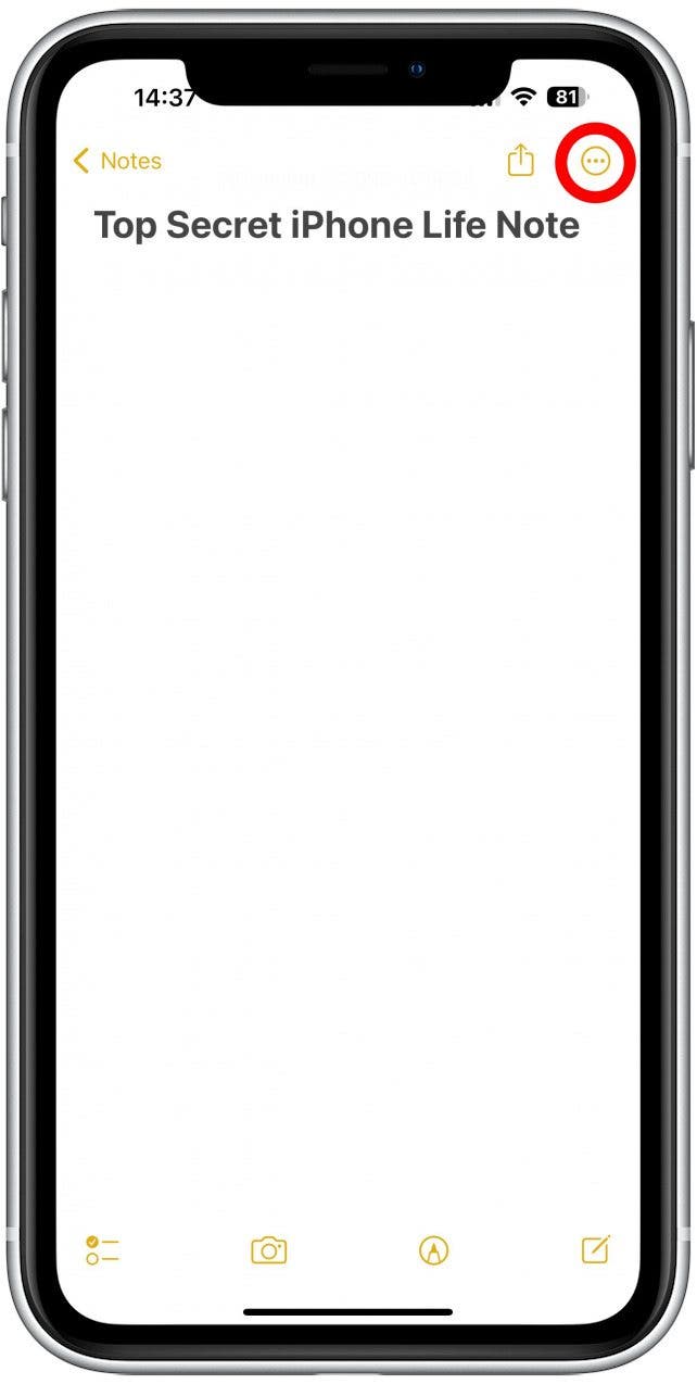 How to Lock Notes on iPhone Password or Face ID