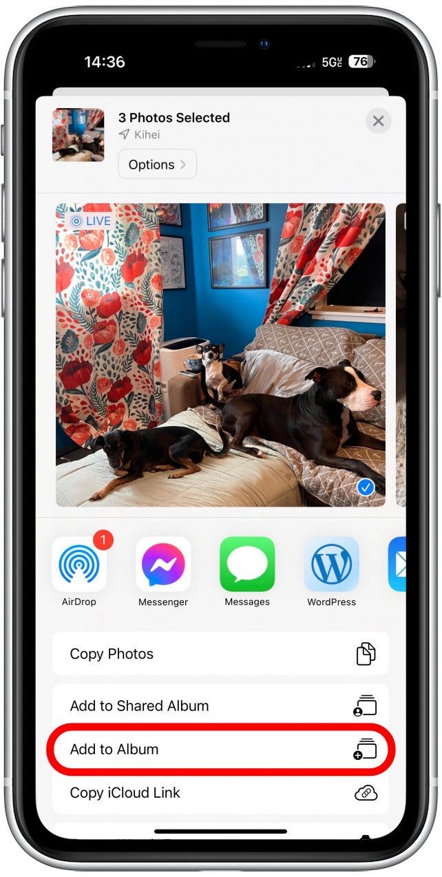 tap the share icon at the bottom left of the screen, then select Add to Album