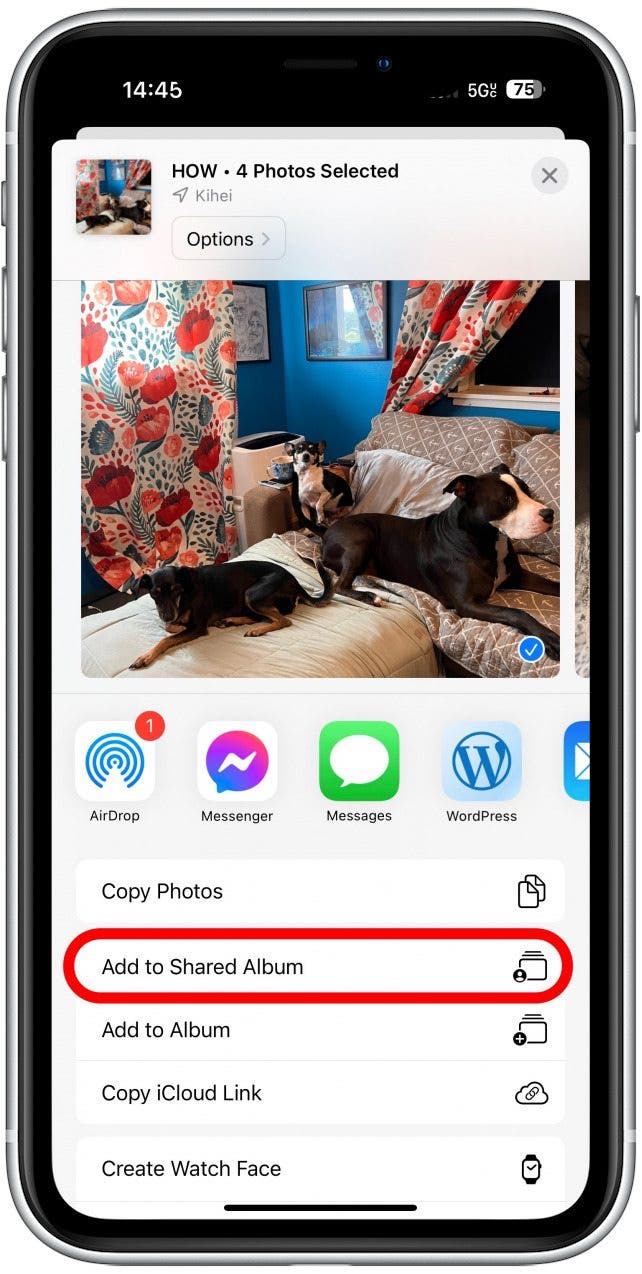 You can also select Add to Shared Album.