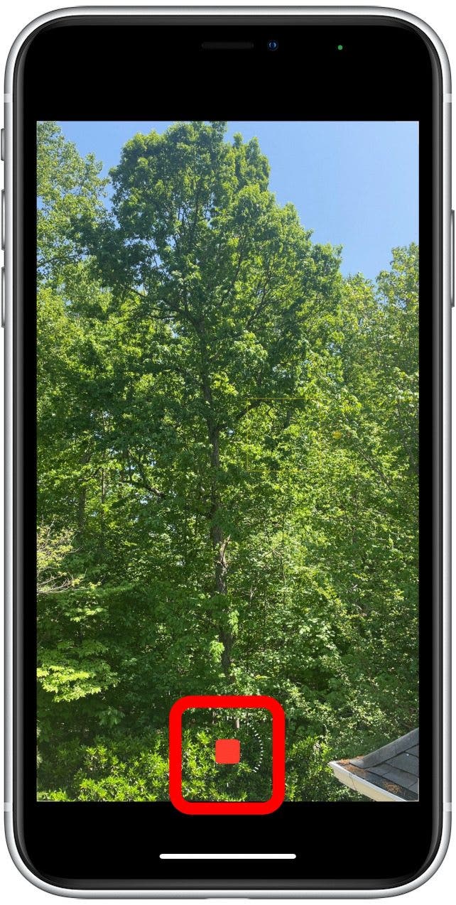 How to TimeLapse a Video on iPhone