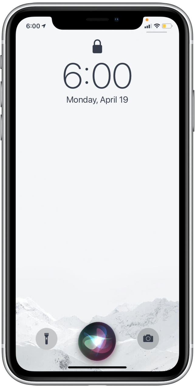 Siri who is the owner of this iPhone