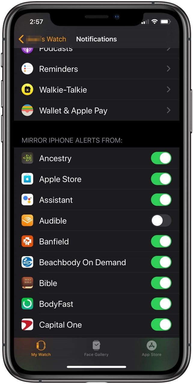 How to Fix Apple Watch Not Getting Notifications