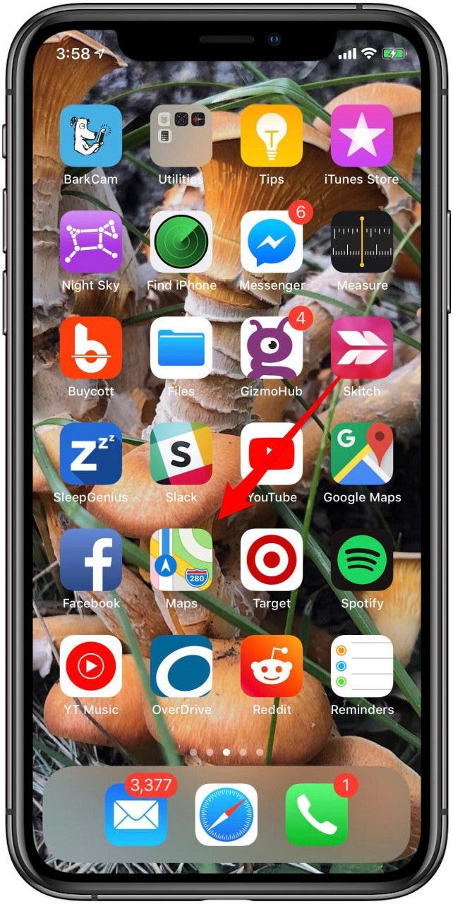 switch to satellite view in apple maps