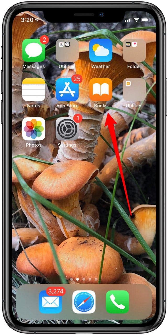 ipad and iphone books app