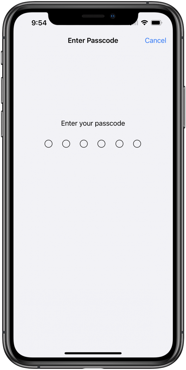 Face ID & Passcode Settings Passcode confirmation screen.