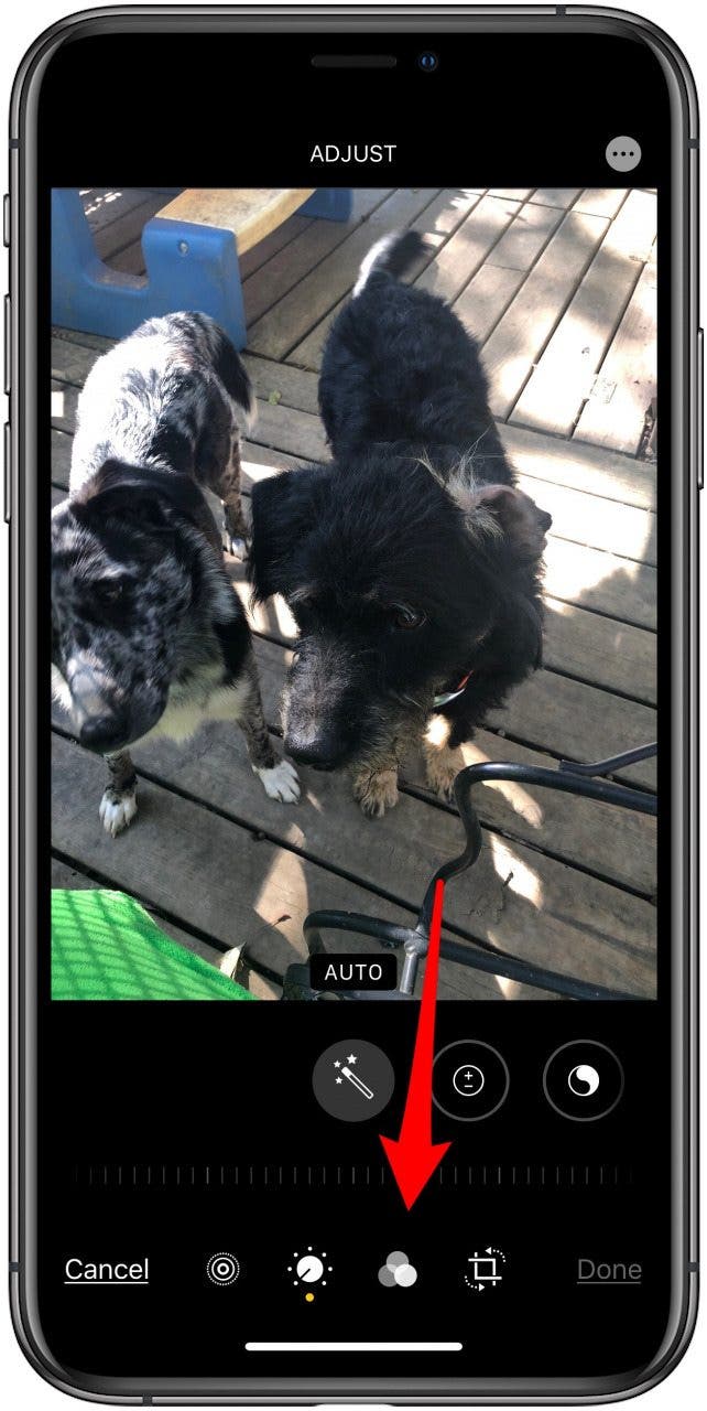 add a filter to a live photo on iphone