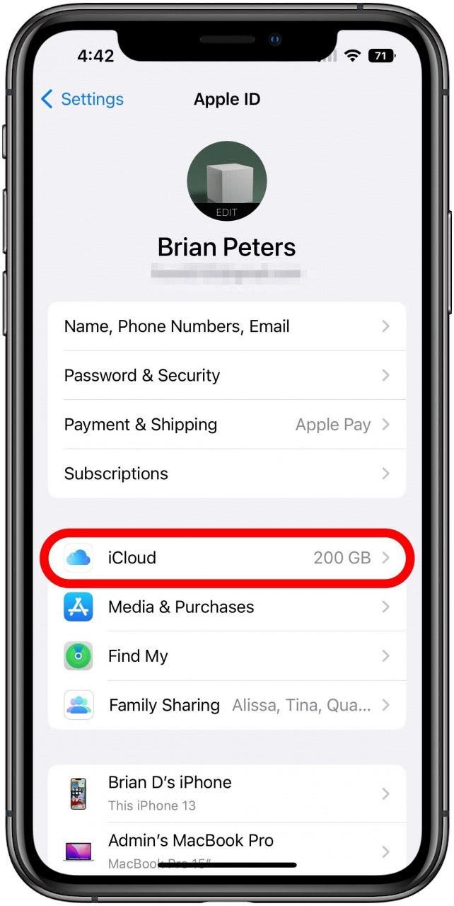 Apple ID Settings screen with the iCloud option marked.