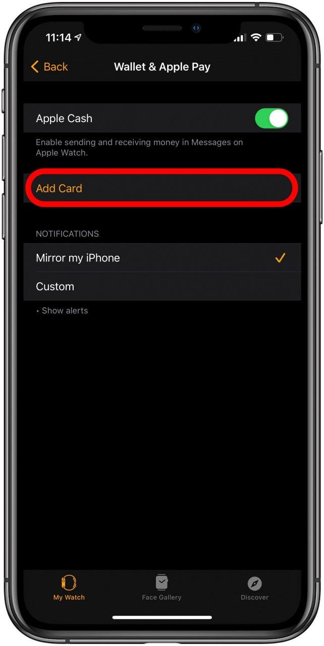 How to use apple online pay on my watch