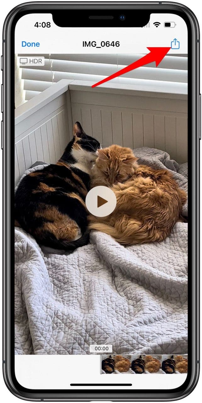 Opened attachment with Share button marked
