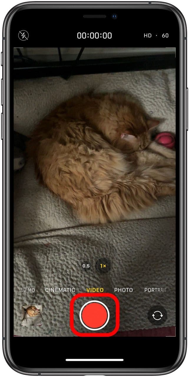 How to Take a Still Photo While Shooting Video on an iPhone