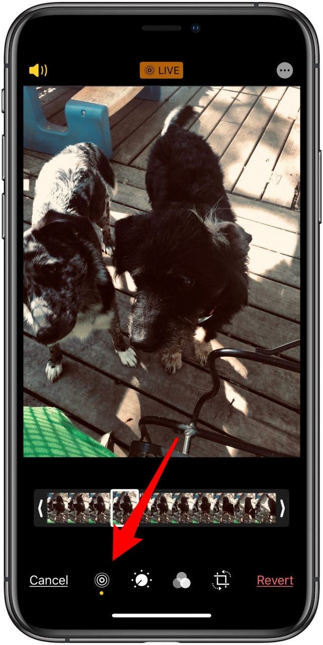 change key image live photo
