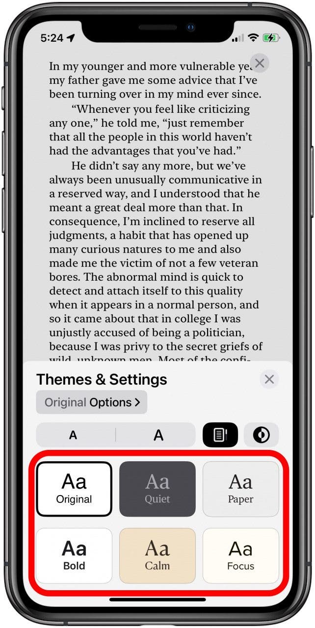 choose from six apple books app themes for reading