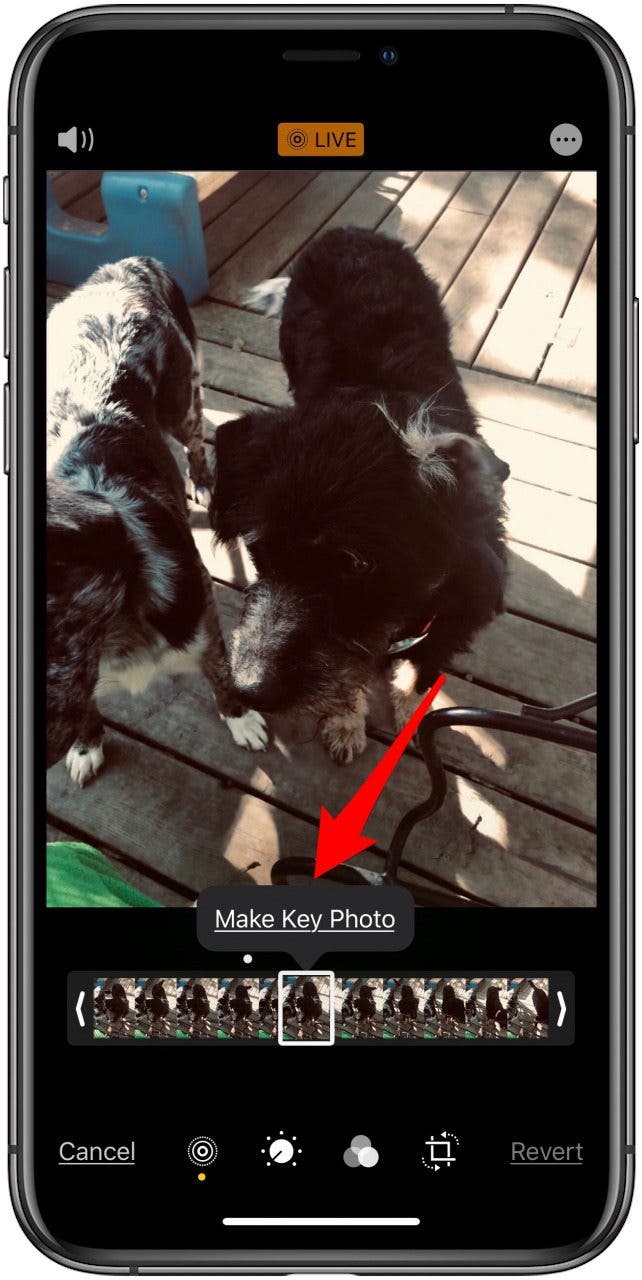 choose key photo for live photo